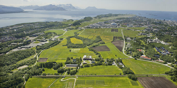 Bodø kommune har sendt søknad om å være kandidat til å bli en av EUs 100 klimanøytrale og smarte byer innen 2030.